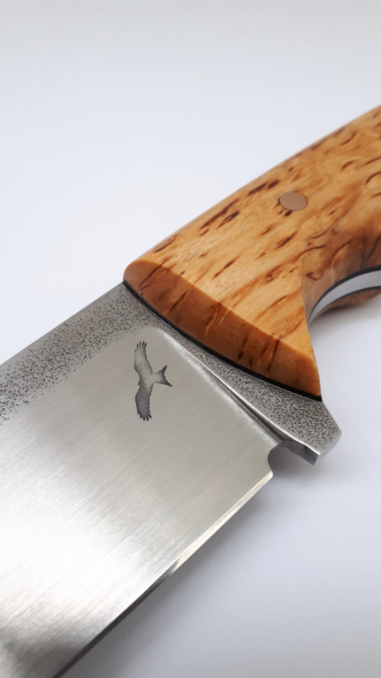Maserbirke
